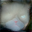 Scribble Image 2